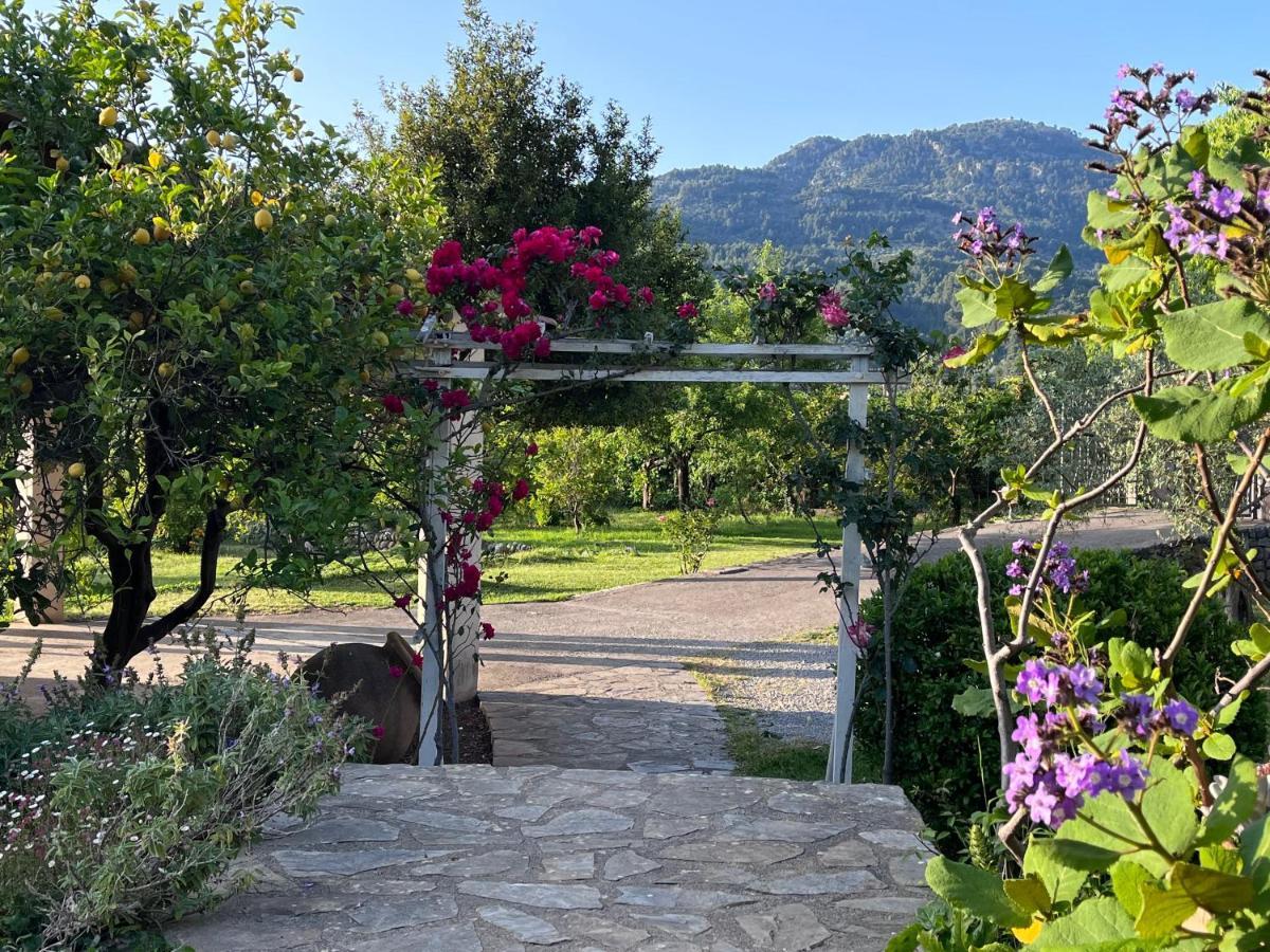 Cas Puput Mallorca Sóller Dış mekan fotoğraf